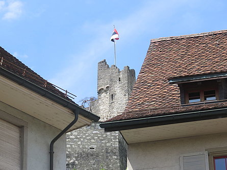 ...che troneggia imponente con una fantastica vista sul centro storico di Baden...